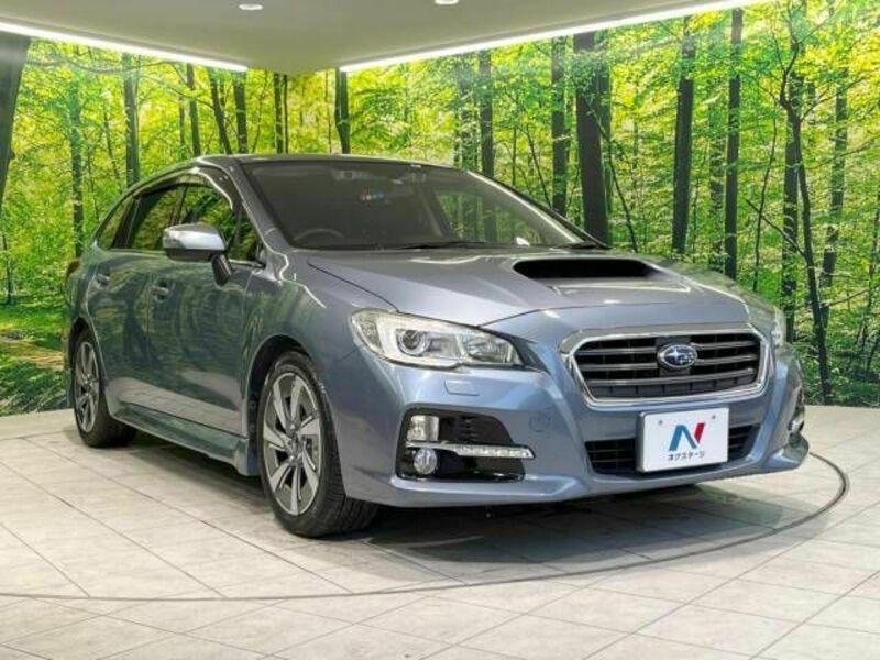 LEVORG
