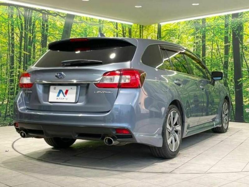 LEVORG