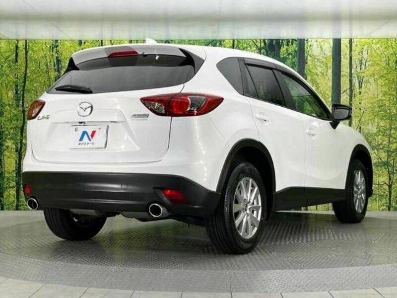 CX-5-17