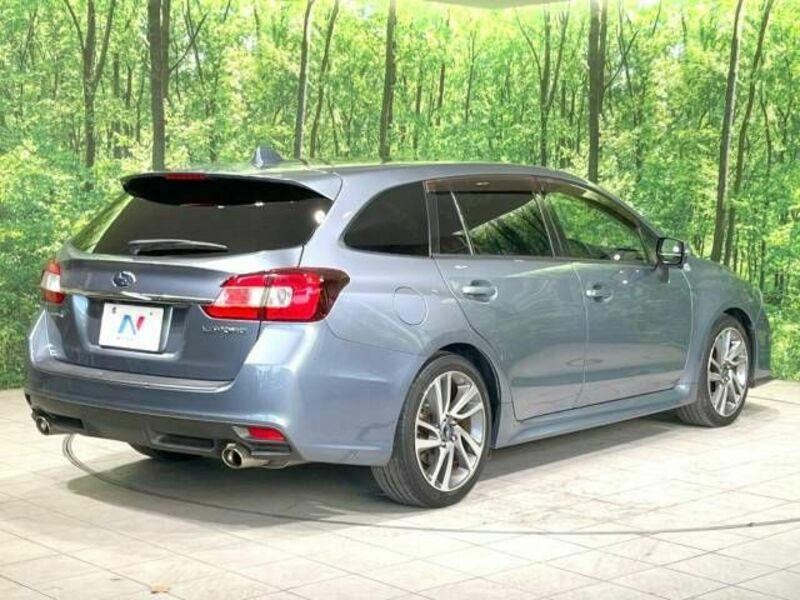LEVORG