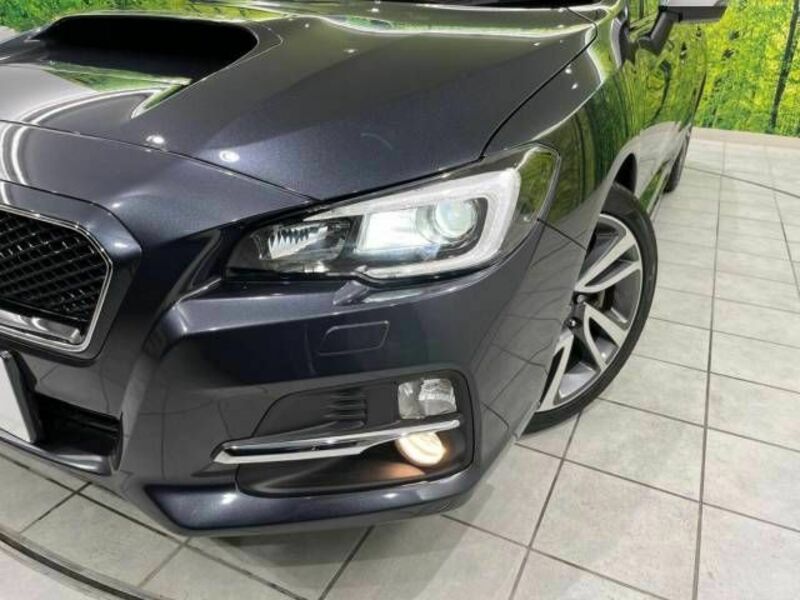 LEVORG