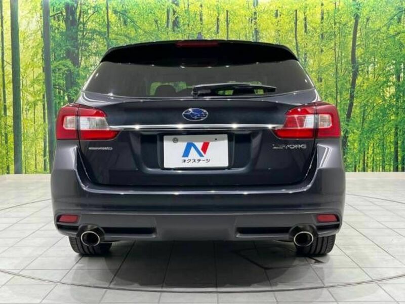 LEVORG