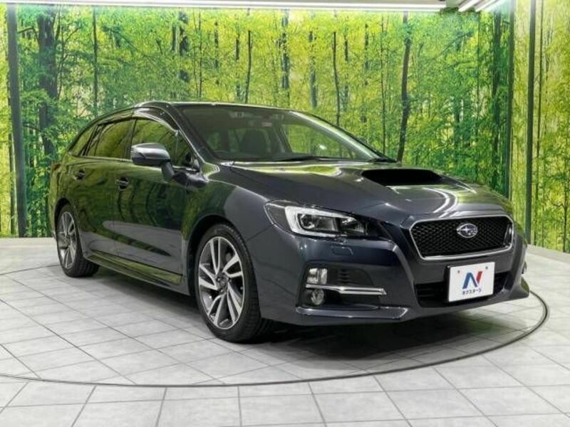LEVORG