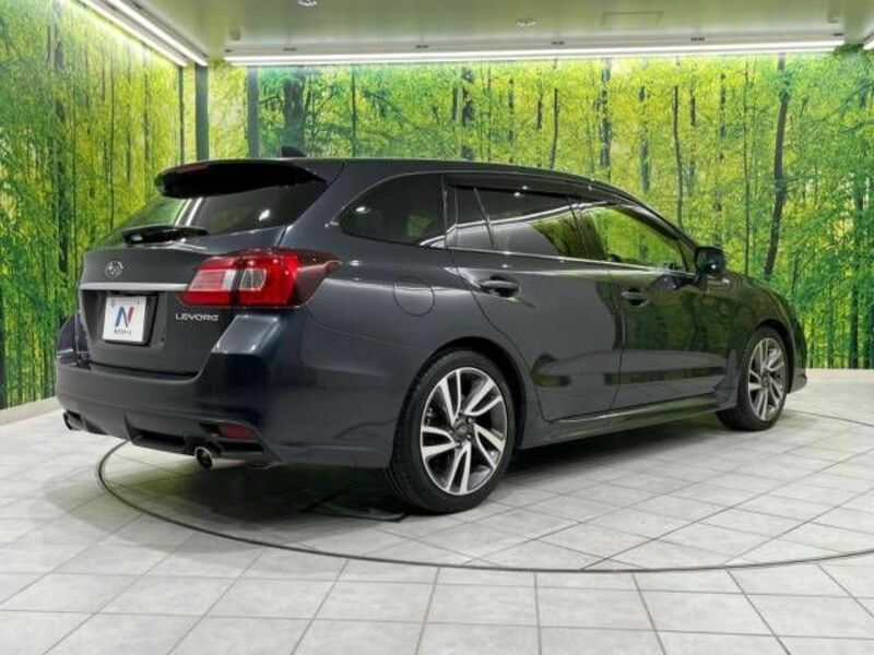 LEVORG