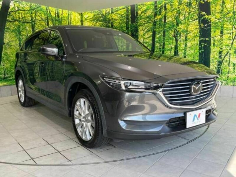 CX-8