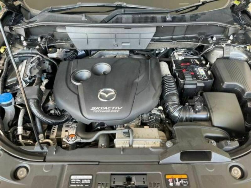 CX-8