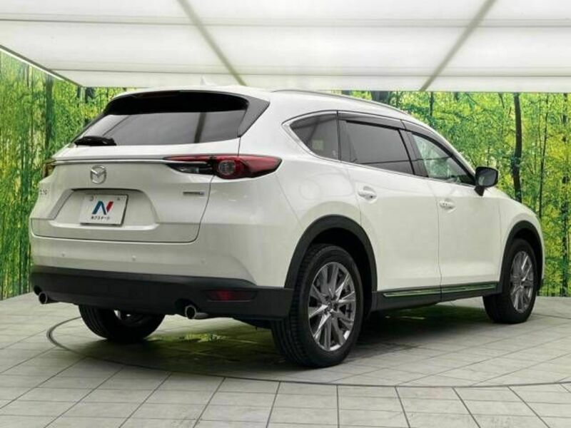 CX-8