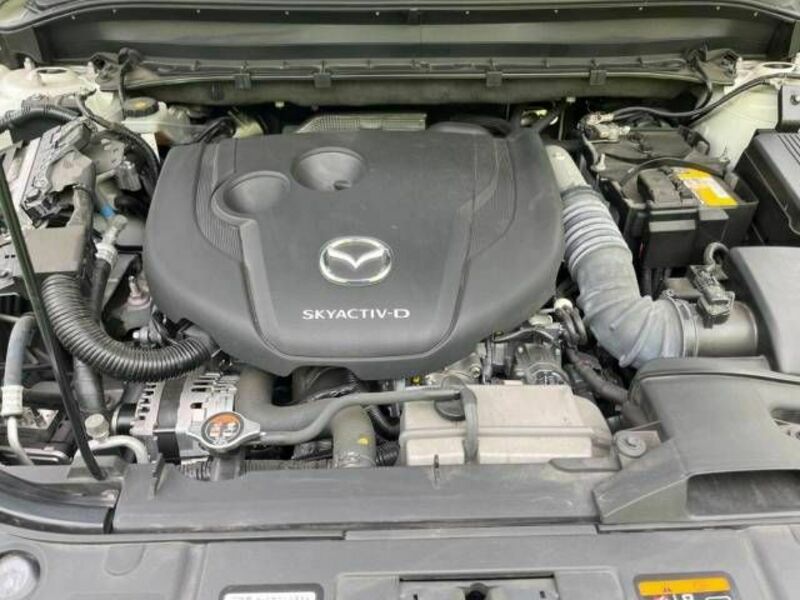 CX-8