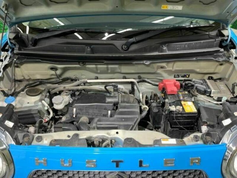 HUSTLER