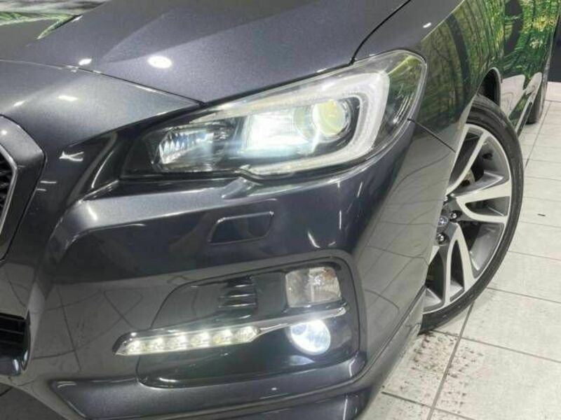 LEVORG