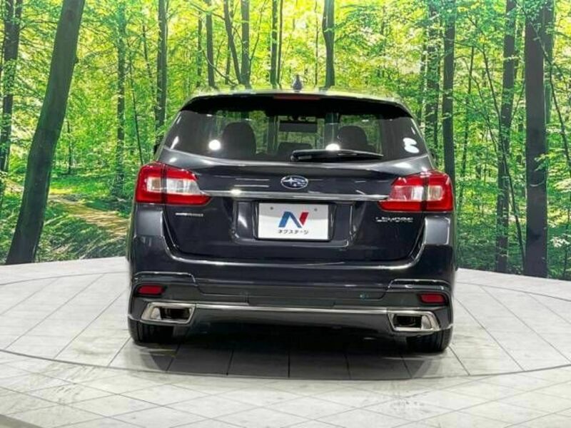 LEVORG