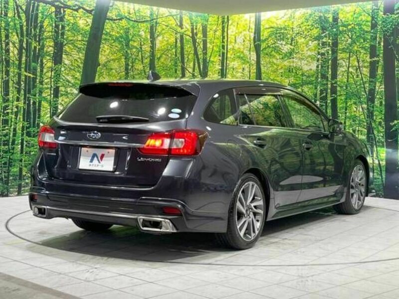 LEVORG