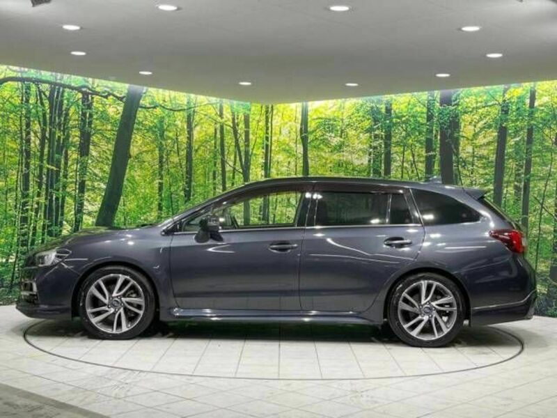LEVORG