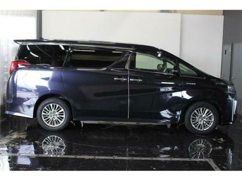 ALPHARD-6