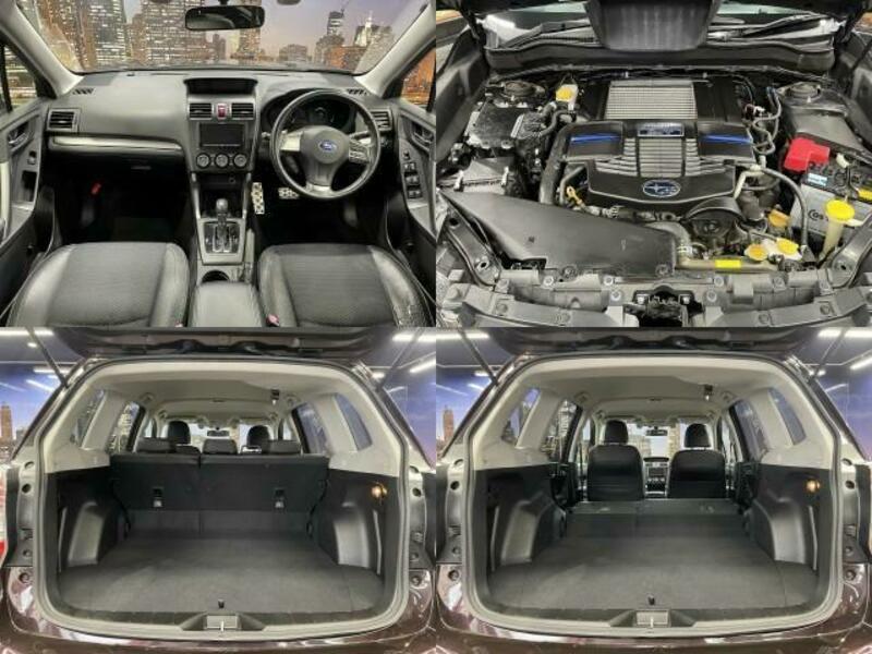 FORESTER