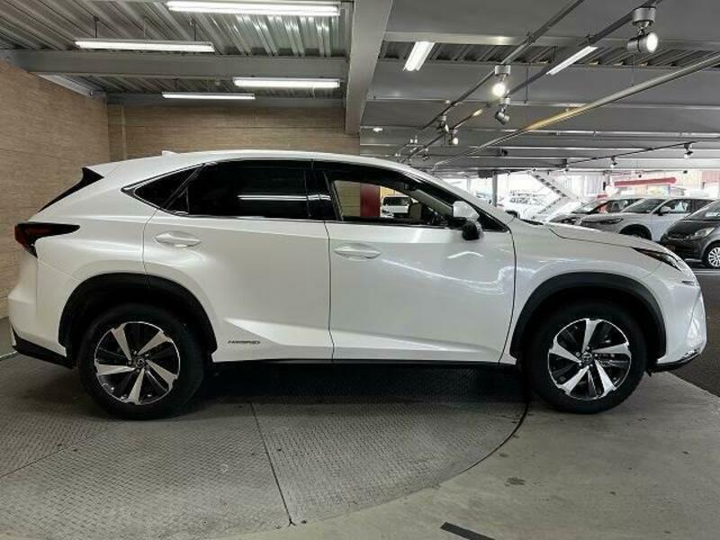 NX