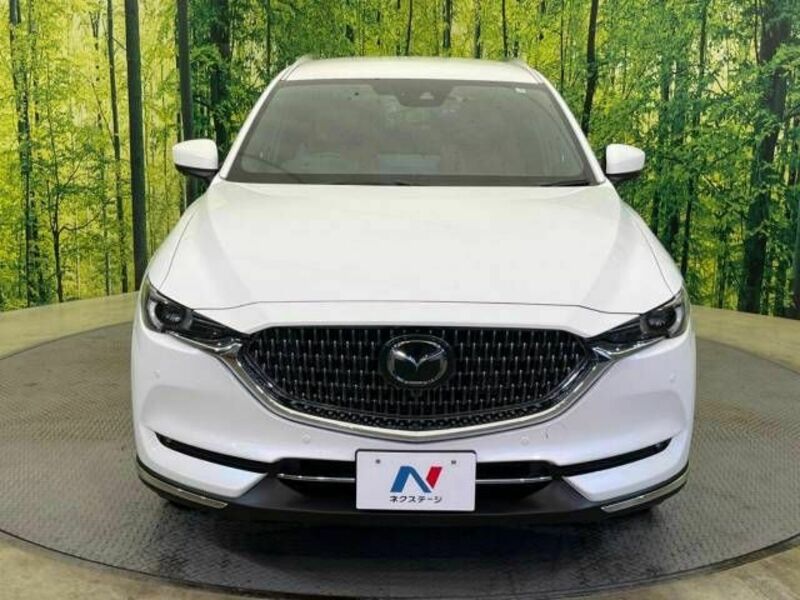 CX-8