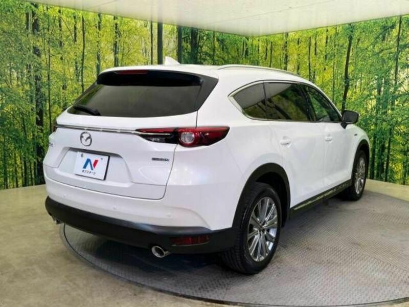 CX-8
