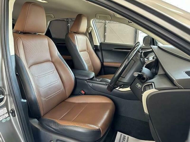 NX