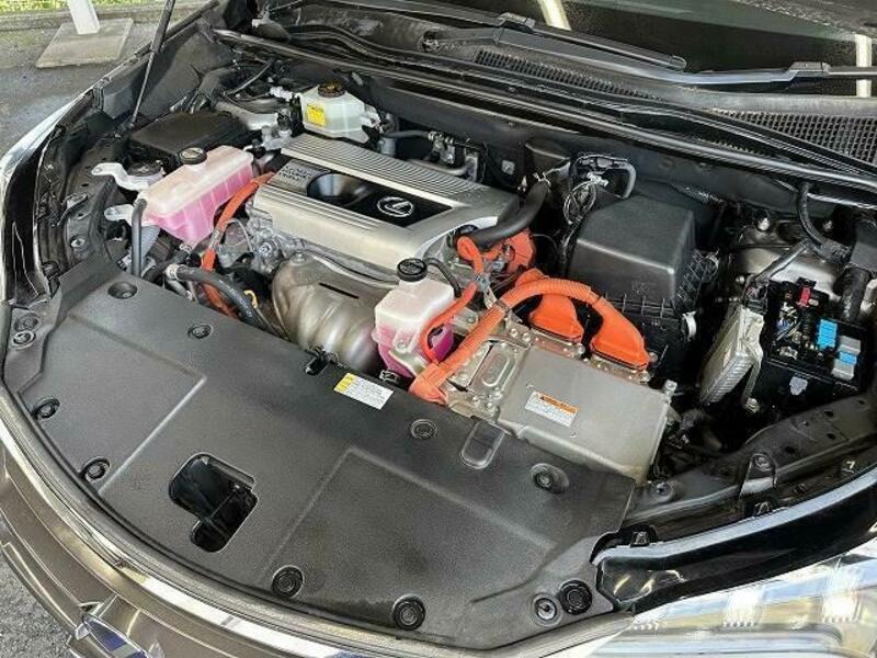NX