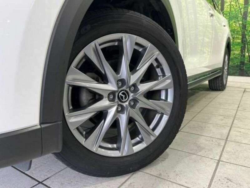 CX-8