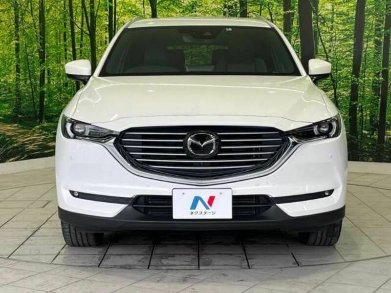 CX-8