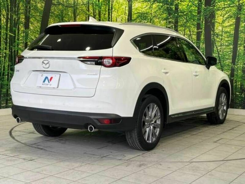 CX-8