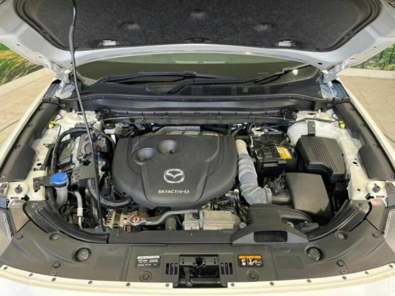 CX-8