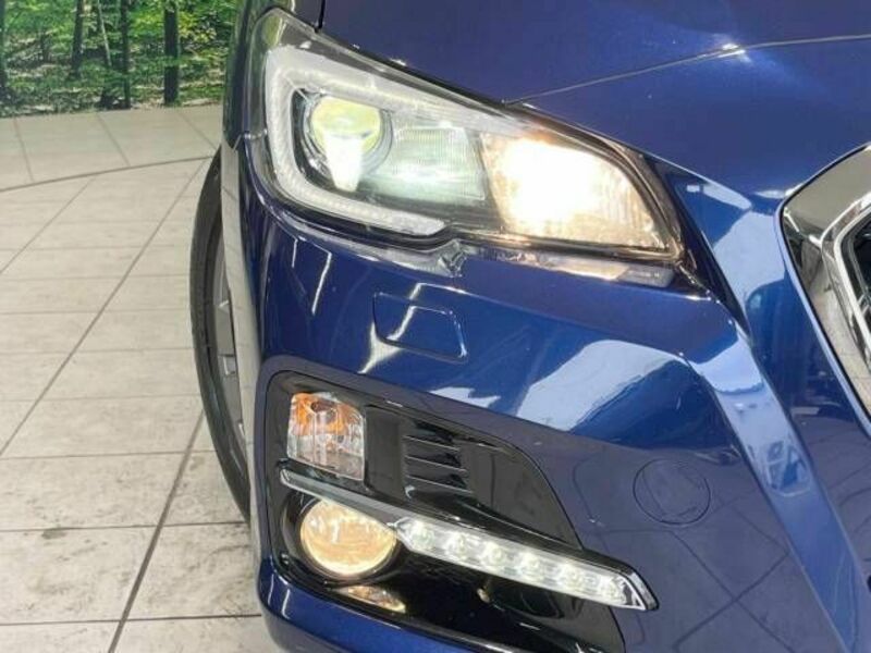 LEVORG