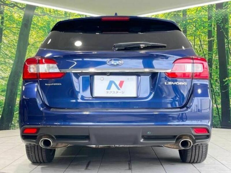 LEVORG