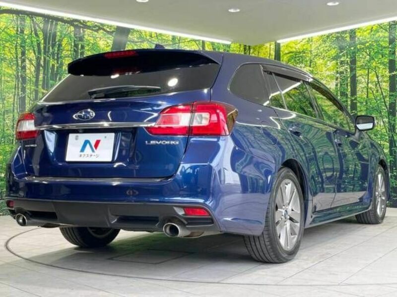 LEVORG