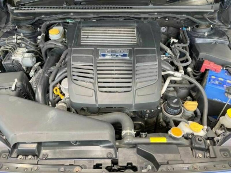 LEVORG