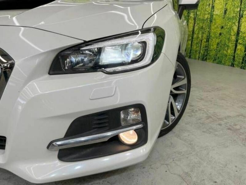 LEVORG