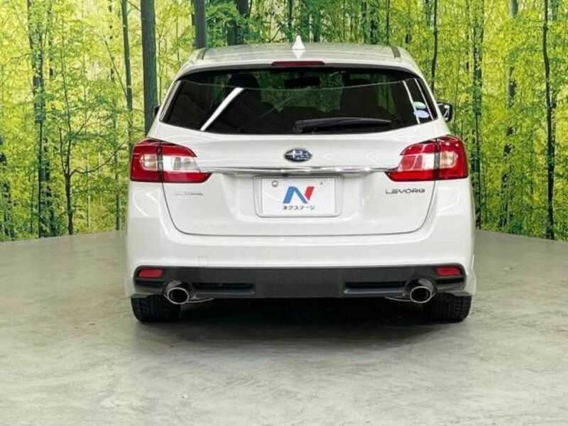 LEVORG