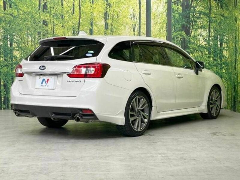 LEVORG