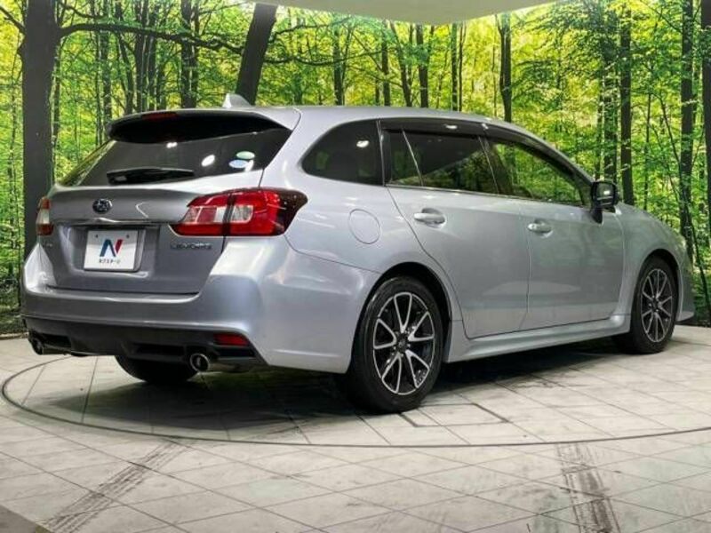 LEVORG