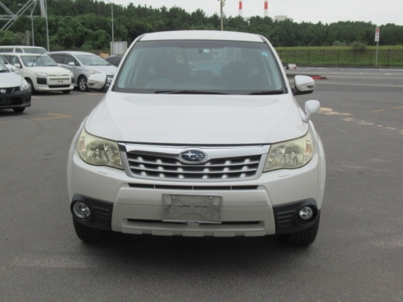 FORESTER