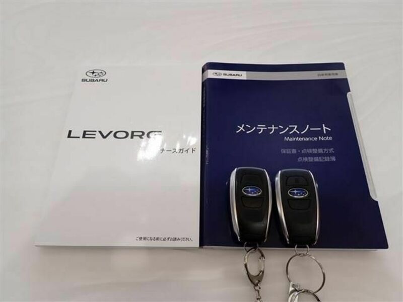 LEVORG