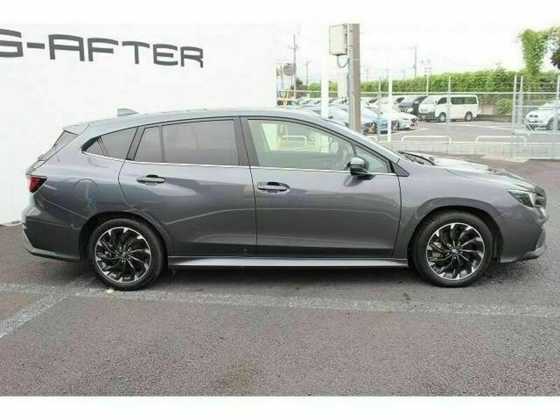 LEVORG
