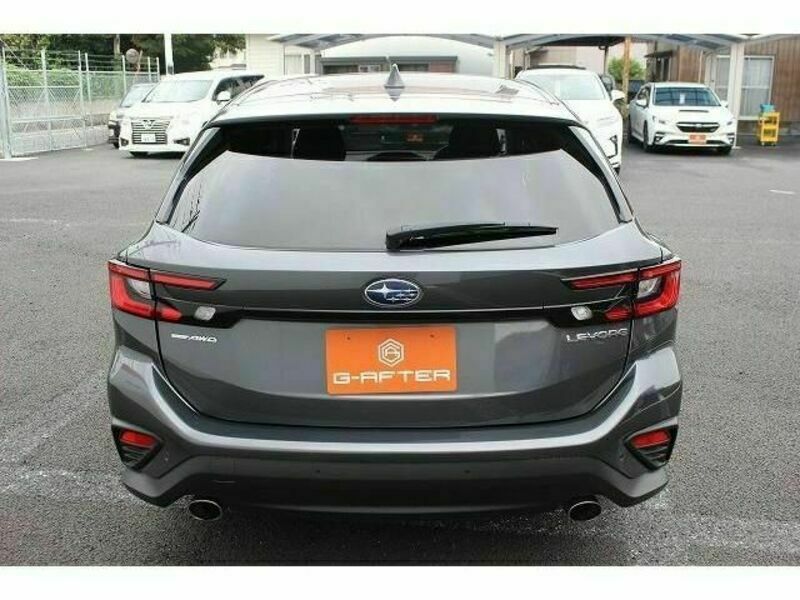 LEVORG