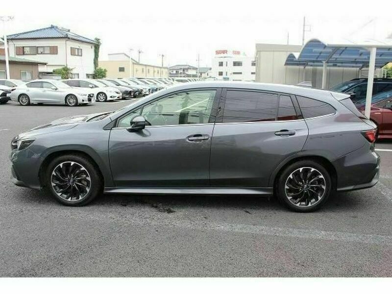LEVORG