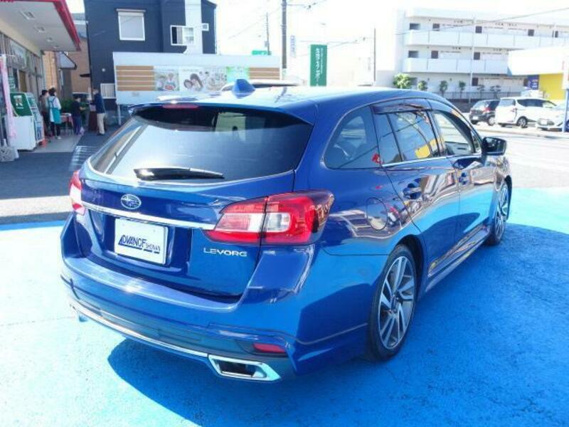 LEVORG