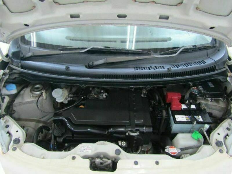 ALTO ECO