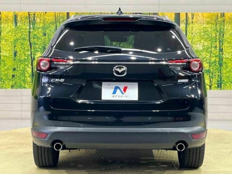 CX-8