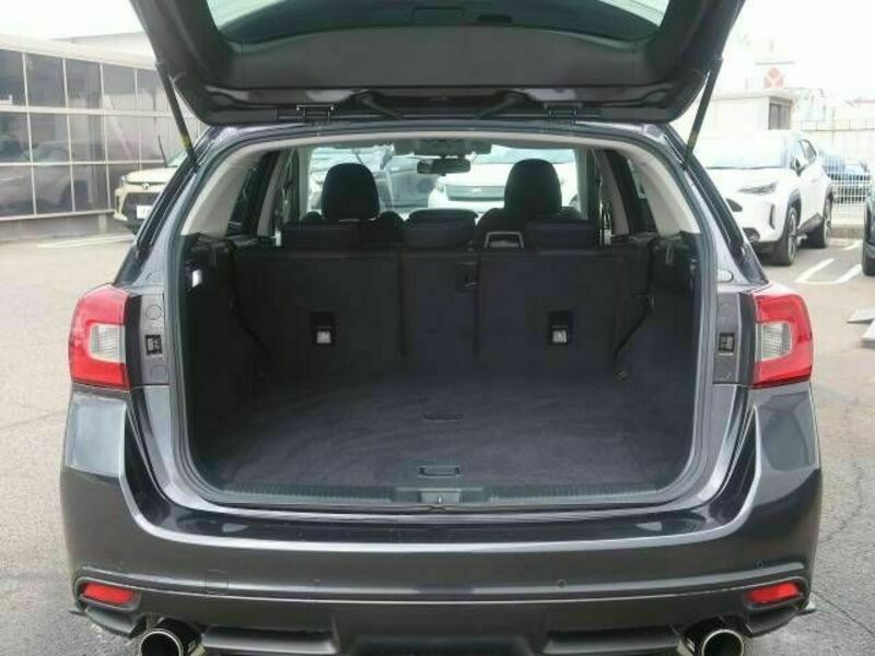 LEVORG