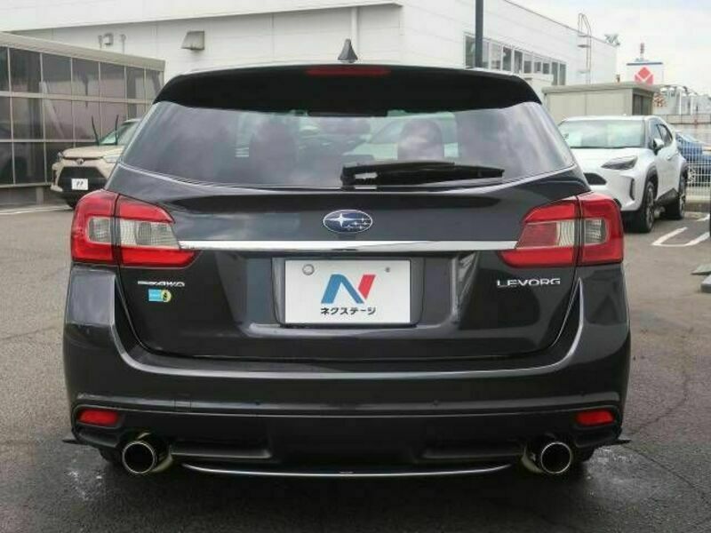 LEVORG