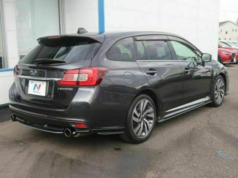 LEVORG
