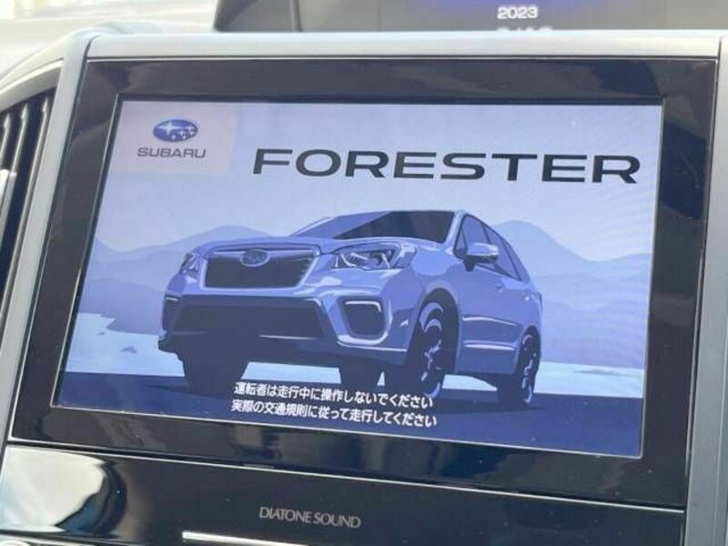 FORESTER
