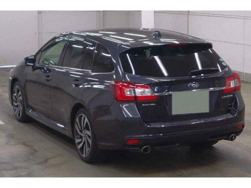 LEVORG