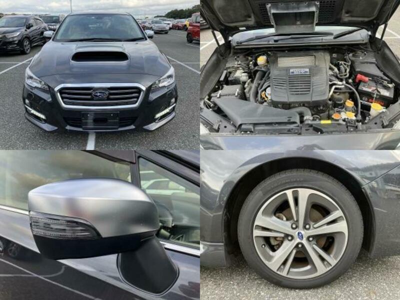 LEVORG